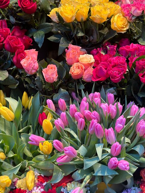 An array of vibrant flowers featuring pink and yellow tulips in the foreground, with pink, yellow, and peach roses in the background, arranged in a lush display. The tulips have smooth, elongated peta
