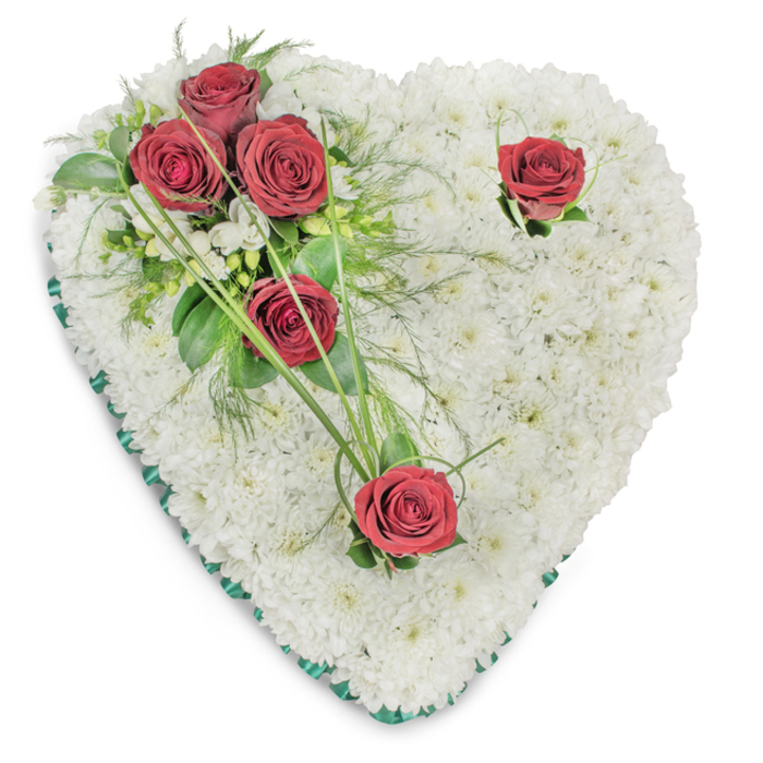 Crafted with sympathetic attention to detail, this heart-shaped funeral spray is entirely surfaced with immaculate white chrysanthemums whose tiny, layered blooms form a dense, plush carpet across the shape, lending a soft, pillowed texture that reads as serenity and respect. A cluster of three saturated red roses nestles on the heart's upper left, set into a bed of rich green foliage - broad glossy leaves, delicate fern-like fronds and a few slender bear-grass blades that extend in elegant curves - while two solitary red roses punctuate the composition, one near the upper right curve and the other toward the lower point, each accompanied by minimal greenery to focus the eye. Small white accent flowers are interspersed sparingly to add depth without distraction. A narrow emerald-green satin ribbon runs around the perimeter, a discreet trim that defines the heart and adds a subdued, stately finish. The lighting is soft and directional, picking out the satin gleam and the sculpted shadows between chrysanthemum clusters so the piece reads with dimensional calm. The scent would be mild, green and slightly sweet - a comforting presence that recalls quiet moments along Greenhithe High Street or a stroll toward the river near Ebbsfleet. Prepared by Flower Delivery Greenhithe for local memorial services, this traditional wreath speaks of lasting affection, gratitude and solace, appropriate for funeral chapels and commemorative gatherings across Greenhithe and Bluewater.
