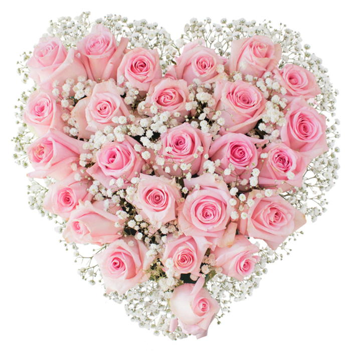 A perfectly formed heart of soft pink roses, densely packed and framed by clouds of white baby's breath, fills the visual field against a stark white backdrop, each element described with the intimacy of a florist's eye. The small to medium roses display a harmonious range of pinks - from barely-there blush on the outermost petals to a warmer, rosier tone tucked into the centre of each bloom - and the mix of tight buds and half-open flowers produces a living texture that invites touch. Sprigs of Gypsophila cascade like delicate froth through the roses, their tiny ivory blooms creating contrast, definition and an impression of lightness that offsets the bouquet's plush density. Bright, even illumination reveals the petals' velvet sheen and the subtle shadowed hollows between blooms, while the composition's symmetrical heart shape reads unmistakably as a symbol of love, consolation and celebration. This arrangement suits weddings held near the Thames, quiet anniversary dinners in a local pub, or a thoughtful gesture delivered to a bedside; it carries a gentle fragrance of classic rose and shows the kind of craftsmanship local clients seek when commissioning enduring, emotive pieces. If placed on a mantel in a Greenhithe home or taken to a gathering at a nearby riverside hall, the bouquet's visual poetry - soft pink, airy white, and expert placement - will convey tenderness and reverence without a single spoken sentence.