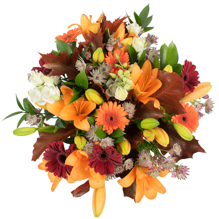 A lush, elevated close-up of a tightly assembled fall bouquet, captured against a crisp white backdrop so each botanical detail reads clearly. Several large orange Asiatic lilies dominate the scene, their broad, trumpet-shaped petals fully open and layered with subtle gradations of orange and apricot; nearby, numerous closed lily buds in pale orange and fresh green create depth and the promise of more blooms. Cheery Gerbera daisies-some in vivid pumpkin orange, others in a deep, velvety burgundy red with distinct dark centres-are artfully distributed to create rhythm and focal points. Delicate creamy-white lisianthus (or eustoma) with ruffled edges offer soft relief from the saturated colours, while clusters of purple-grey Astrantia bring fine, star-like texture and an airy intricacy that lifts the bouquet's silhouette. Generous, deeply lobed burgundy-to-reddish-brown leaves-evocative of oak or fallen maples gathered near the High Street or riverside paths in Greenhithe-are positioned to frame the composition and strengthen its autumnal narrative. Fresh green foliage and slim stems weave through the arrangement, giving it a verdant underpinning and structural balance. The lighting is bright and even, accentuating the glossy sheen on the leaves and the velvety surfaces of the daisy petals; there's an almost tactile sense of softness and the faint, woodsy scent of harvest-season blooms. Professionally arranged and immediately evocative of the season, this bouquet suits Thanksgiving tables, harvest festivals, or seasonal gifts for friends and family around Bluewater and the wider Greenhithe area.
