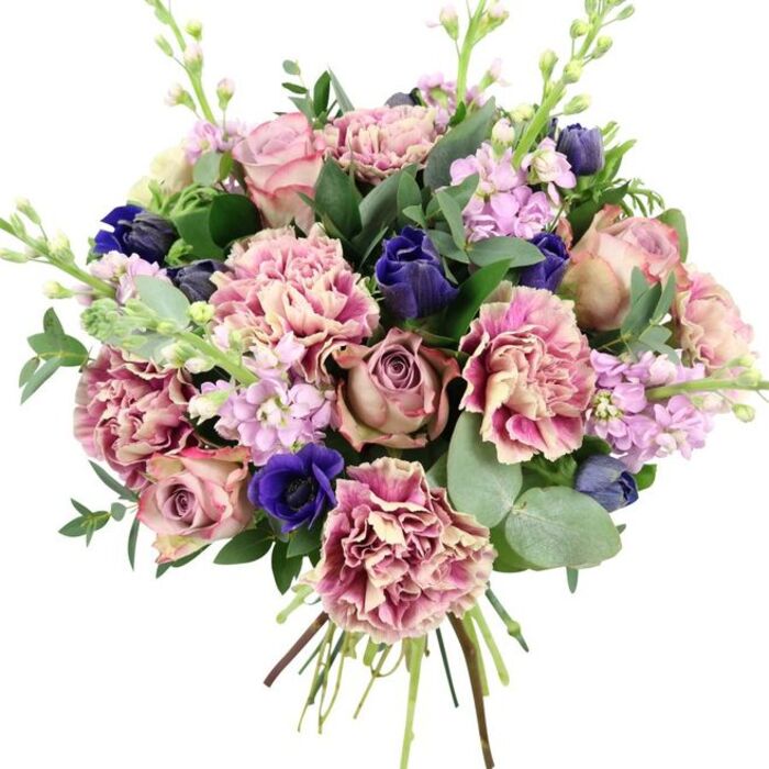 Against a simple white background, this luxurious bouquet appears freshly finished, as if the florist in Greenhithe has just set it down after tying the final knot. At the centre, you see plush garden roses opening in layers of blush pink, dusty mauve, and antique rose, their petals forming intricate spirals that suggest depth and soft movement. Encircling the roses are abundant carnations, each bloom ruffled and full, with creamy, almost beige centres that fade into gentle blush and then intensify to richer rose and plum shades at the edges, adding volume and a tactile, frilly texture. Punctuating these romantic hues are several deep indigo-blue flowers, shaped like refined closed buds, offering a striking contrast that feels both sophisticated and modern. Near the lower front of the bouquet, an open royal blue anemone with a dark, inky centre stands out as a focal point, its petals slightly cupped as though catching the light. Rising gracefully through the main blooms, stems of stock in pale lilac and light lavender introduce vertical lines and a fine, airy texture, their tightly clustered blossoms hinting at a soft, comforting scent you might encounter while walking through Ingress Park in late spring. The flowers are cradled by plentiful foliage: dark-green leaves provide a sturdy backdrop, while rounded eucalyptus leaves in silvery green arc gently around the edges, bringing cool tones and a suggestion of refreshing fragrance. At the base, the gathered stems remain visible, showing the craftsmanship and care typical of Flower Delivery Greenhithe, and ready for local delivery to homes and workplaces across DA9. The bouquet exudes elegance and calm, ideal for marking special occasions or simply brightening a quiet corner.