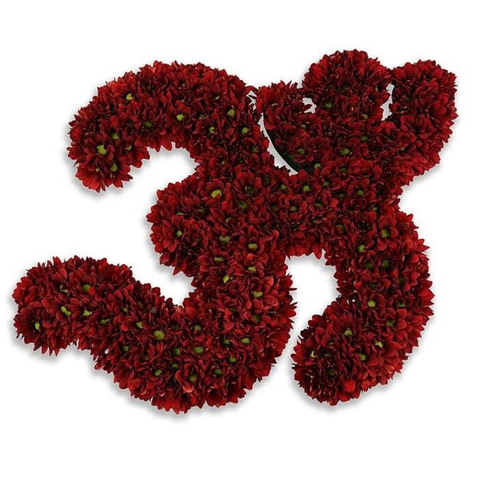 A striking, meticulously crafted floral number 33 composed of hundreds of small, deep burgundy chrysanthemums, presented against a stark white field that lets each velvety petal speak. The two numerals are built like miniature mosaics: within each curve the button chrysanthemums are tightly clustered so their multi-layered petals form a plush, almost fabric-like surface, punctuated by tiny green eye-centres that add a quiet, natural contrast. Light falls softly across the top petals, producing subtle highlights and a gentle, diffused shadow beneath that suggests the digits hover slightly above the ground, giving the composition dimensionality and presence. Up close you can almost sense the tactile softness of the blooms and the faint, characteristic chrysanthemum scent-earthy, slightly sweet-that would gently fill a workshop near Greenhithe High Street. The number reads as a celebratory emblem-appropriate for a 33rd birthday, an anniversary, a commemorative jersey tribute, or a milestone civic event-and its dense construction conveys both importance and affection. Crafted with local sensibility, this piece would sit well on a reception table at a community hall near the Thames Path or as a photo backdrop for a party in Ebbsfleet, offering a rich visual anchor for guests and photographers. For authenticity and careful delivery in the area, Flower Delivery Greenhithe can reproduce this look using the same deep-crimson button chrysanthemums, ensuring the arrangement arrives fresh and with the same tactile, vibrant quality captured in the image.