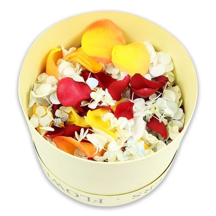 The photograph shows a simple yet refined round hatbox, finished in a soft cream-yellow tone, standing against a perfectly white background that makes it appear almost like a sculptural object. The cylindrical box has a smooth, matte surface and is likely made from sturdy paperboard, with a discreet embossed word along the upper rim that points to FLOWERS, hinting that this is a thoughtfully prepared piece from a local Greenhithe florist. The top of the box is open, revealing a rich and slightly domed arrangement of dried flower petals and tiny florets. Deep crimson red rose petals are scattered throughout the mix, their velvety surfaces and gently curled edges lending depth and a sense of loving remembrance. Interlaced with these are bright golden-yellow petals and soft peach-orange tones that add warmth, evoking the soft haze of sunset drifting across the riverfront near Greenhithe. Tucked between the broader shapes are countless tiny white hydrangea florets, some barely touched with a whisper of pale blue, like fragments of soft cloud or sea mist. Their papery, feather-light texture contrasts beautifully with the more substantial rose petals, creating layers that catch subtle shadows even in the clean studio light. The photograph is taken from slightly above, allowing full visibility of the mound of petals and the graceful, almost overflowing impression they create. With the stark white background eliminating any distraction, the focus remains on this natural, textural blend, ideal as a gentle scattering of petals at a funeral, a decorative bowl of floral confetti on a remembrance table, or a quiet, personal tribute displayed in a Greenhithe home to keep the presence of a loved one close.
