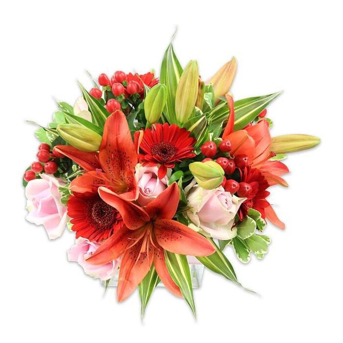 Framed by a spotless white backdrop, this rich and densely layered bouquet reads as a study in warm romance and botanical texture, the work of an experienced hand. The focal lilies - broad, orange-red Asiatic blooms with faint speckling and prominent stamens - command attention, their recurved petals creating movement and a gently dramatic silhouette. Interwoven are vivid red Gerbera daisies, each with slender radiating petals and darker central disks that add energetic contrast, while blush-pink roses appear like soft punctuation marks, their velvety petals moving from tight rosettes to open cups. Sprays of bright red hypericum berries bring a playful, bead-like quality to the arrangement, their glossy skins catching the light and adding depth among the petals. A rich selection of foliage fills and supports the bouquet: long, pointed lily leaves, broad green backdrops, and subtly variegated leaves that brighten the composition with pale streaks. The overall lighting is crisp and natural, revealing tactile details - the rose's smooth silkiness, the lily's papery strength, and the berries' polished firmness - and suggesting a delicate, sweet-spicy perfume that drifts subtly from the bouquet. This piece is suited to many occasions, from heartfelt anniversaries to housewarmings, and its confident blend of classic and contemporary elements is the kind of arrangement frequently requested by neighbours around Greenhithe High Street, the Thames walkway, and nearby Ebbsfleet.