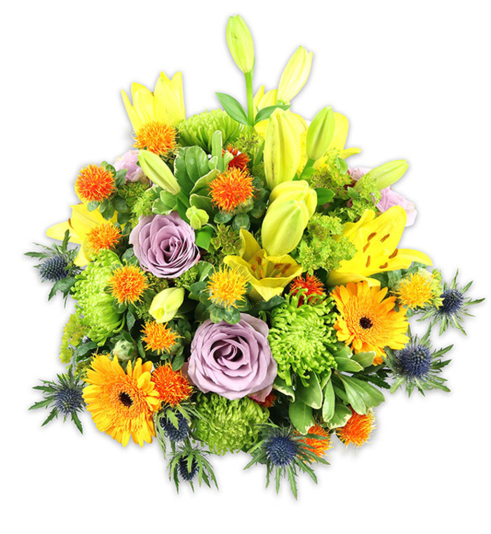 A richly layered, high-impact bouquet set against a pristine white background, this arrangement balances exuberant warmth with cool, unexpected accents. Radiant yellow Asiatic lilies form vertical interest, some petals unfurling to reveal delicate freckles and stamens while others remain as elongated chartreuse buds pointing skyward. Two or more lavender-tinged roses sit serenely near the centre, their soft, concentric petals introducing a calming, romantic tone amid the energetic colour play. Bright orange Gerberas, unmistakable with their broad, petal rays and darker centres, act as sunny focal points, while vibrant lime-green button chrysanthemums fill the composition with a textured, almost cushion-like fullness that reinforces the bouquet's lush silhouette. Tiny, spiky globe flowers in shades of orange and gold are peppered throughout, adding a playful contrast in scale and finish. Several blue-grey Eryngium thistles push through the lower and side margins, their bristly, sculptural forms and cool hue creating a striking foil to the warm palette and lending a rustic-chic sensibility. A variety of leaves-broad lily foliage and smaller glossy greens-weave between stems, providing structure and soft shadowing. The scent is subtly floral, led by lilies with the faint sweetness of roses beneath; visually, the arrangement radiates warmth and conviviality. I imagine one of our bouquets from a Greenhithe studio resting on a café table near the station or brightening a living room in a home by the Thames, suited equally to celebrations, thank-you gifts, or thoughtful sympathy tributes.